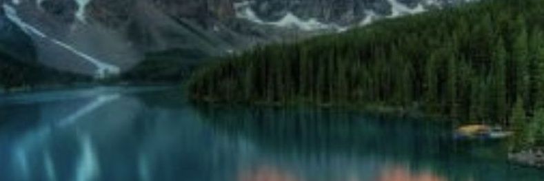 ap26708's profile banner image