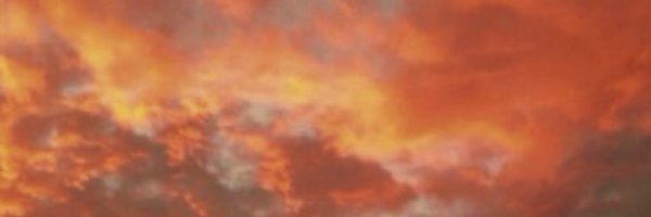 8Osmercuryrog Profile Banner