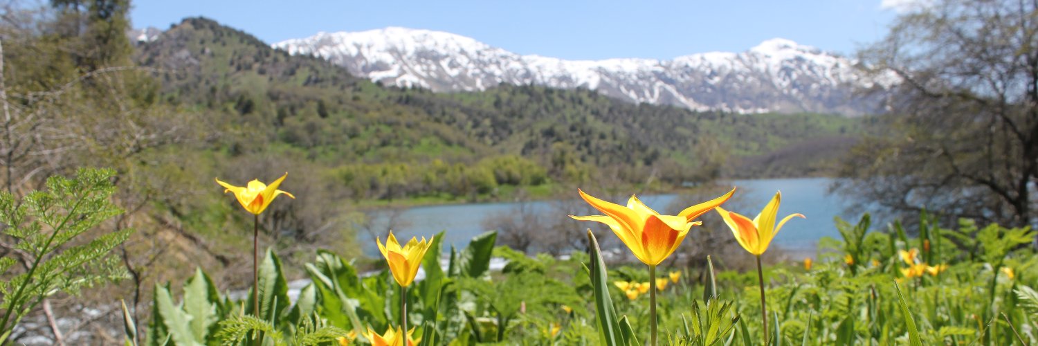 BotanistBrett's profile banner image