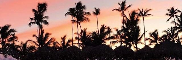 elvaastri_'s profile banner image