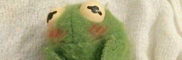 cloudycrow1 Profile Banner