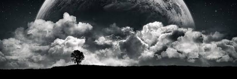 eymkids's profile banner image