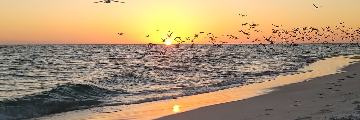 Natasha/Denver NOW-29 banner