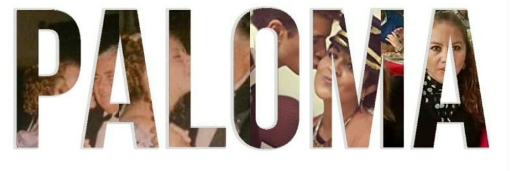 palitoluna's profile banner image