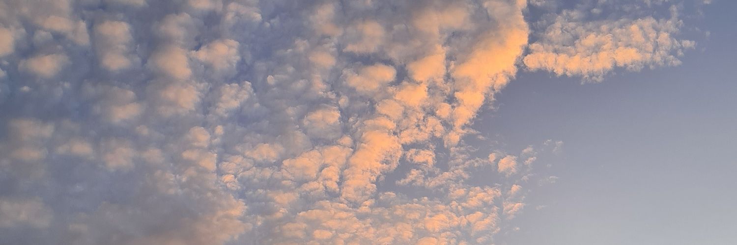 Bluewest_26's profile banner image