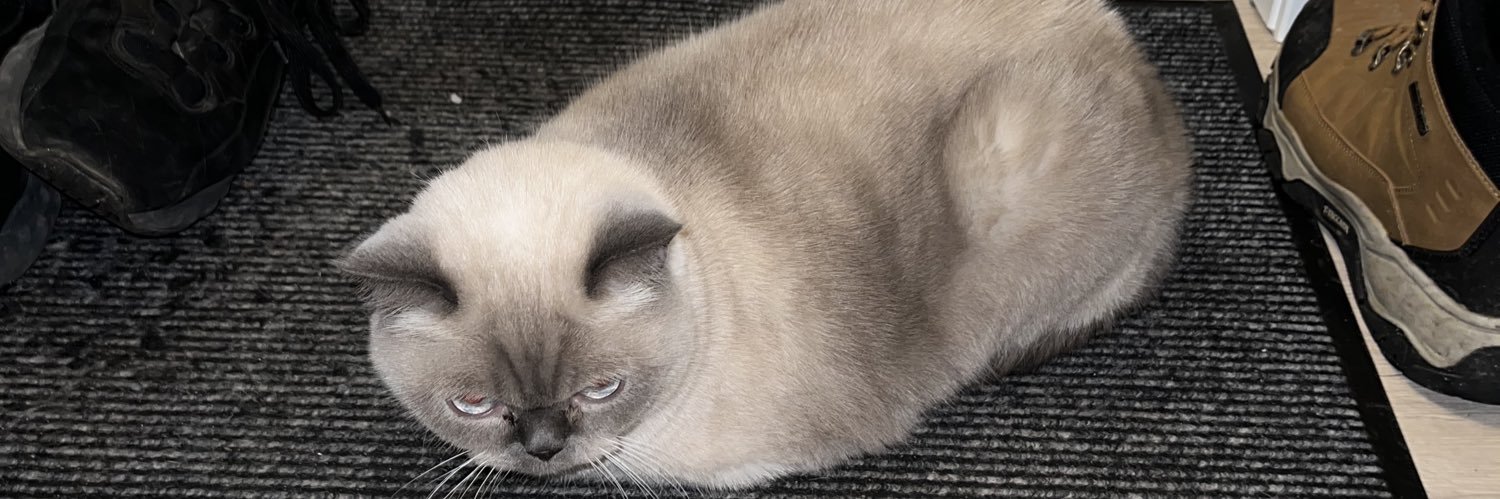 витя фицнер banner
