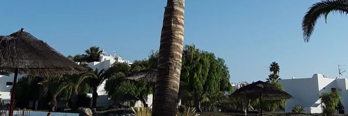 biffybee55's profile banner image