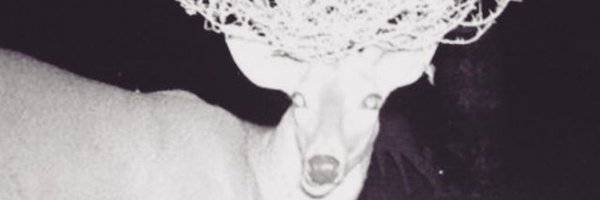 Windom__Gold Profile Banner