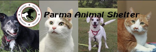 ParmaAnimalShel Profile Banner
