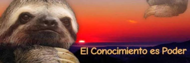 el7delobos's profile banner image