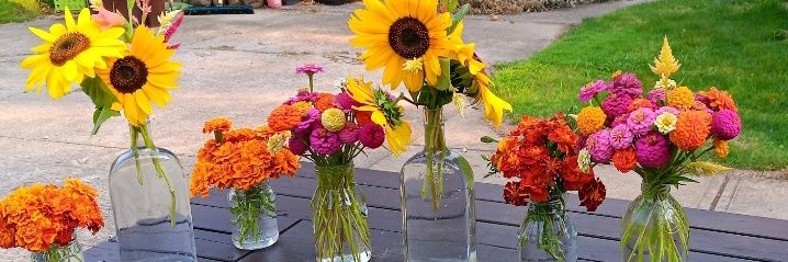 NoQuarterAsked banner