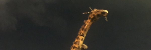 RadioTFB Profile Banner