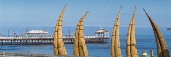 PamChMD Profile Banner