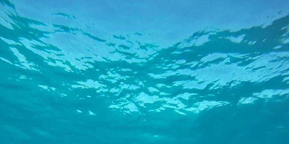 PaddleTheReef's profile banner image