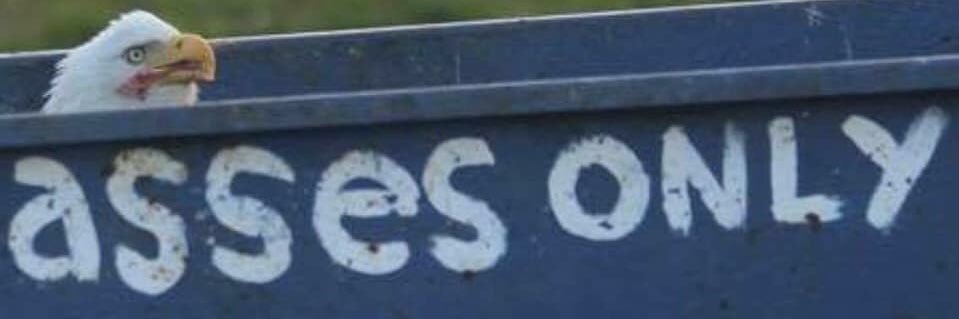 Jakedudebro's profile banner image