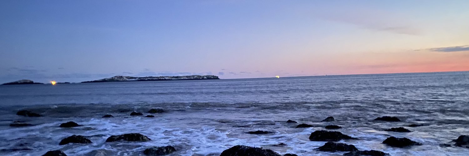 Sarah Cusack (She/Her) banner