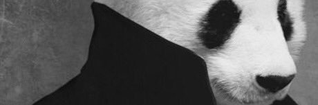 alexumeh_'s profile banner image