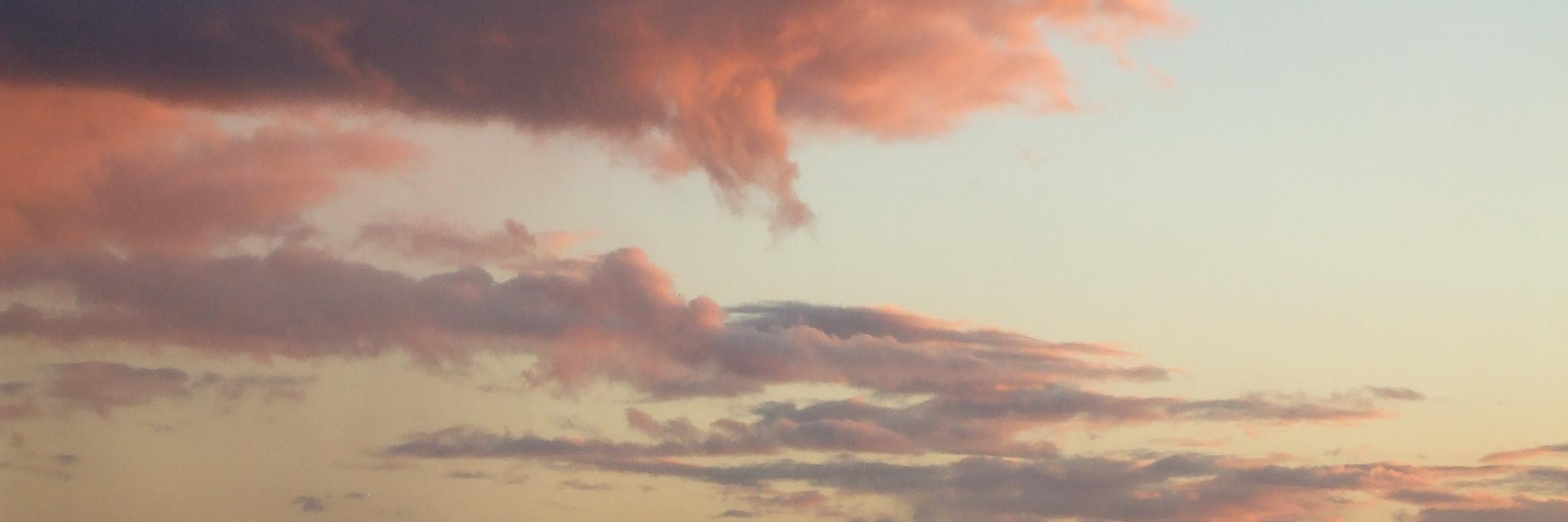 axelnorth's profile banner image