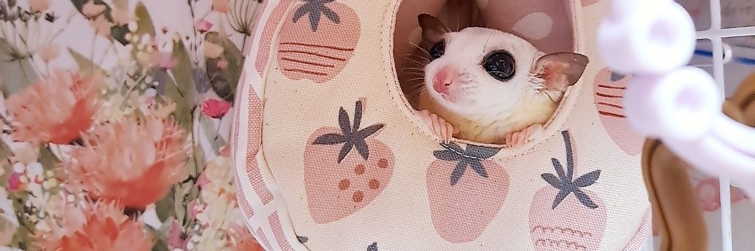 1mi9's profile banner image