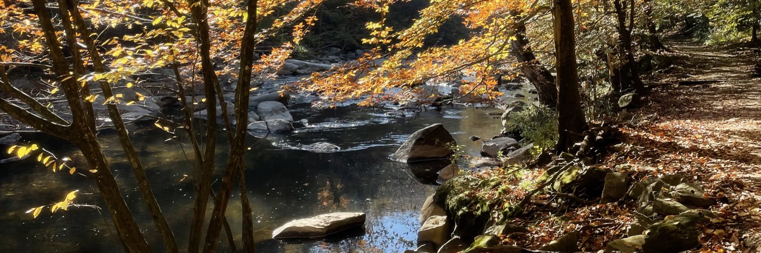 Wifredo “Wifi” Fernández banner