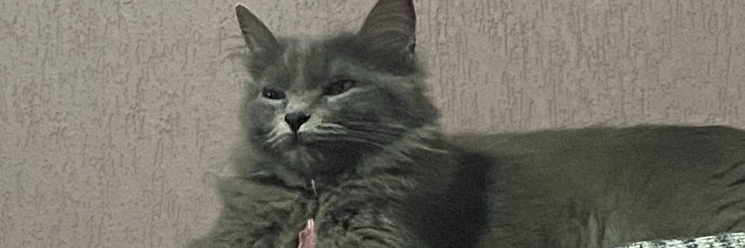httpkahcos's profile banner image