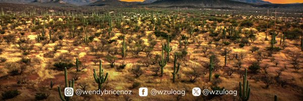 wzuloag Profile Banner
