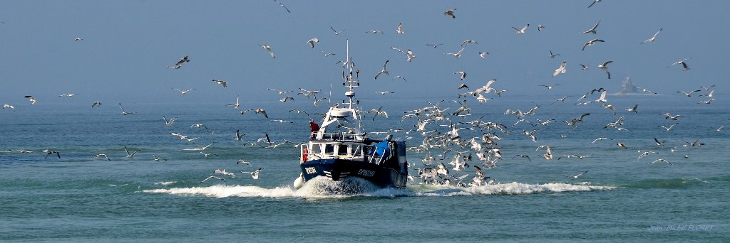 DIADES MARINE banner