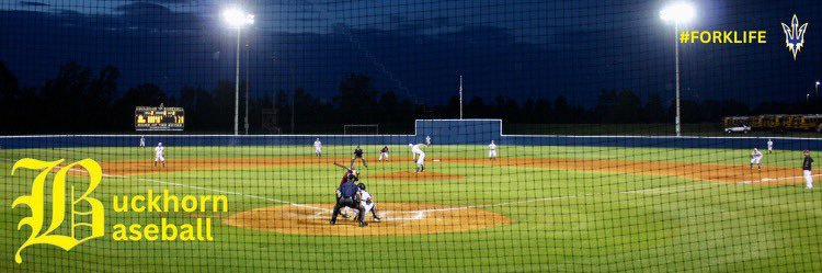 Buckhorn Baseball banner