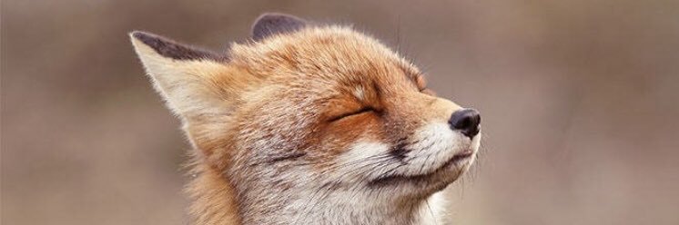 Leonidaos's profile banner image