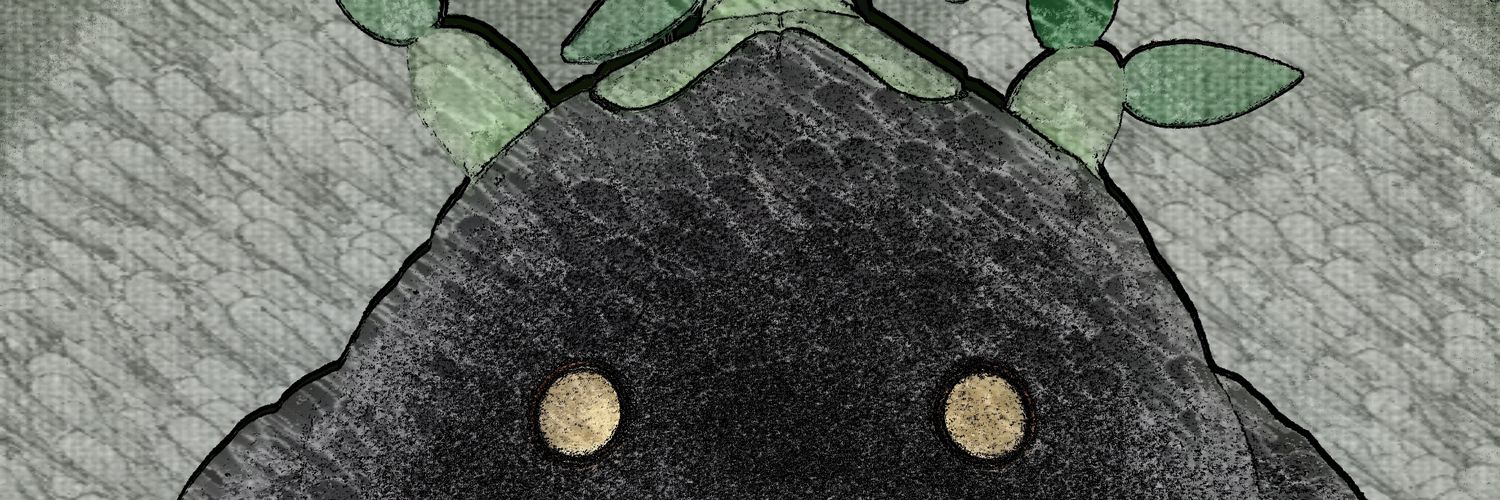mtran66's profile banner image
