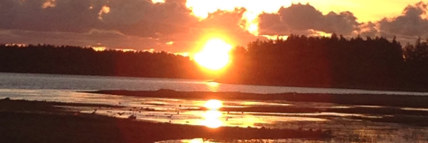 ieva_apsite's profile banner image