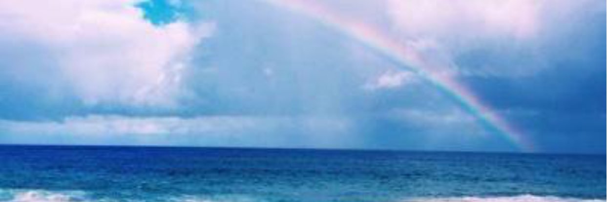 Princesszeee's profile banner image