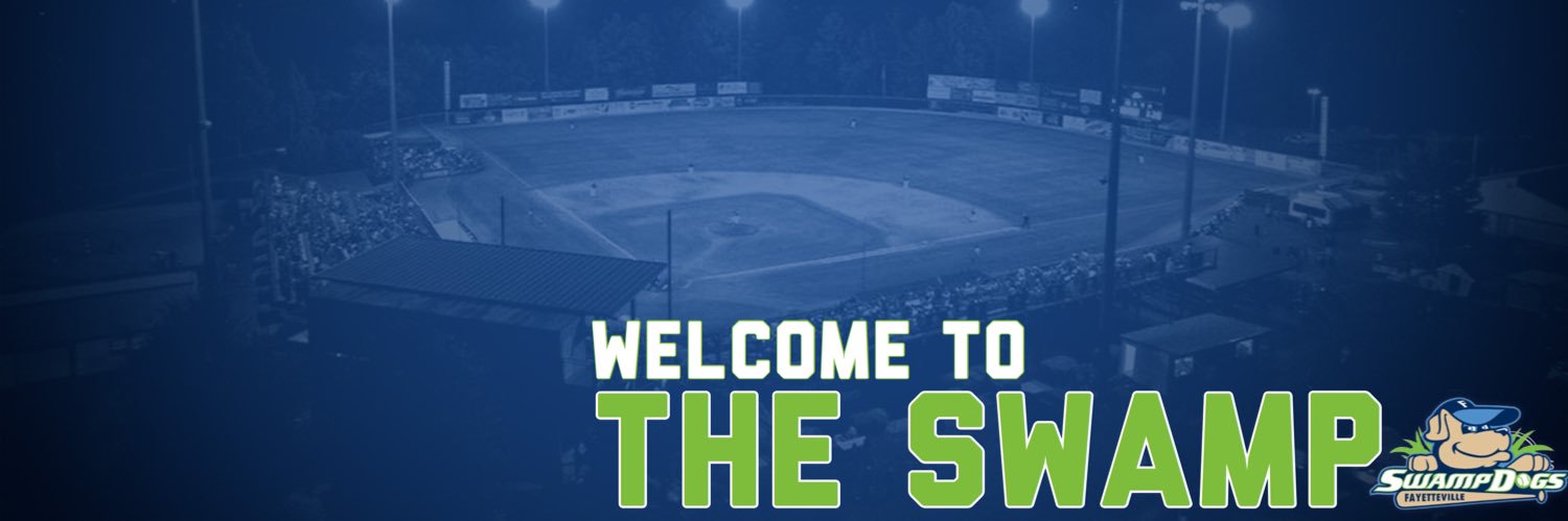 Fayetteville SwampDogs banner