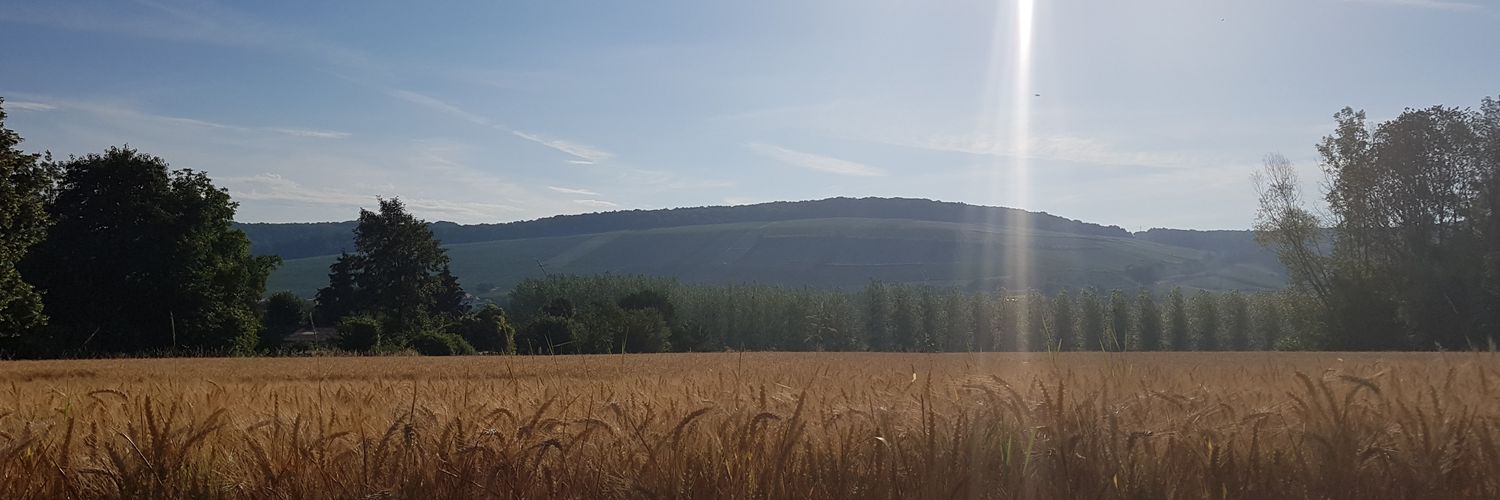 JpFRENOIS's profile banner image
