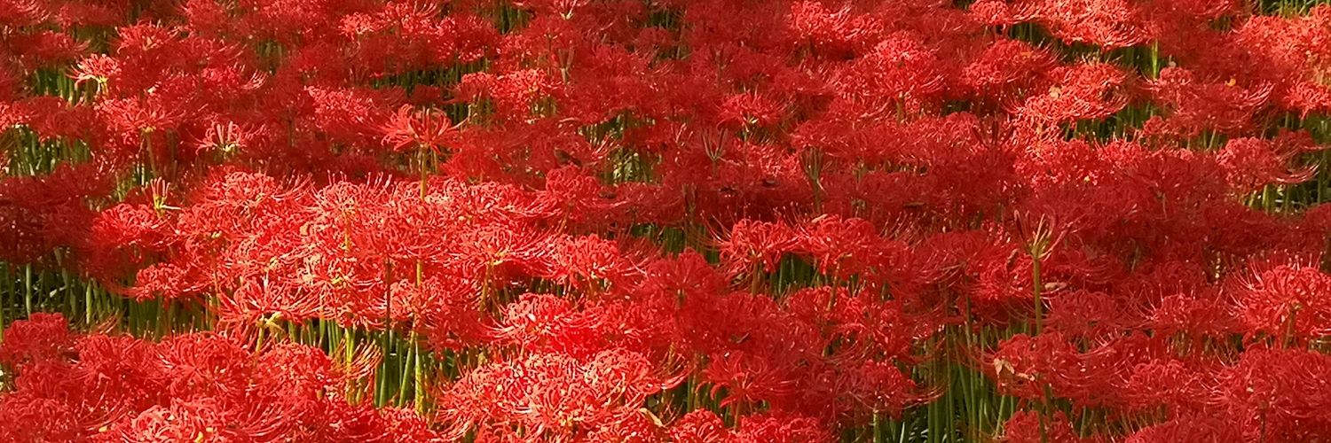 wabanashi's profile banner image