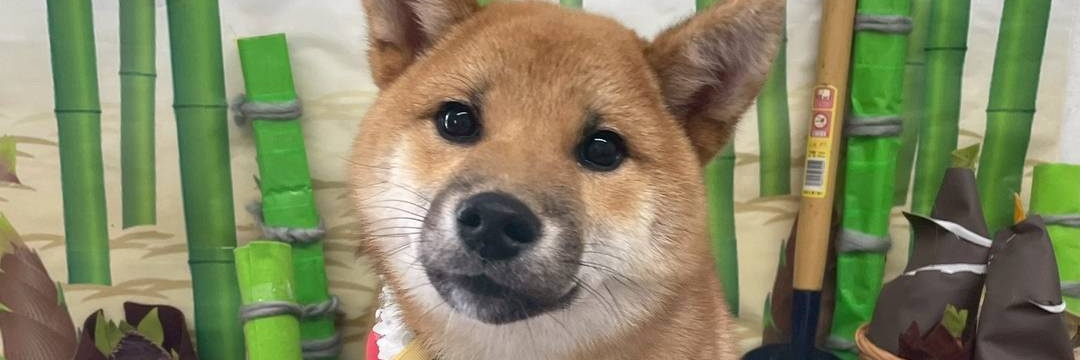 iwamuu2's profile banner image
