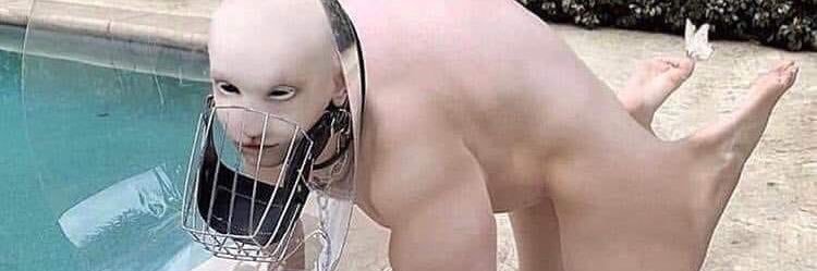 trap daddy camera guy's banner