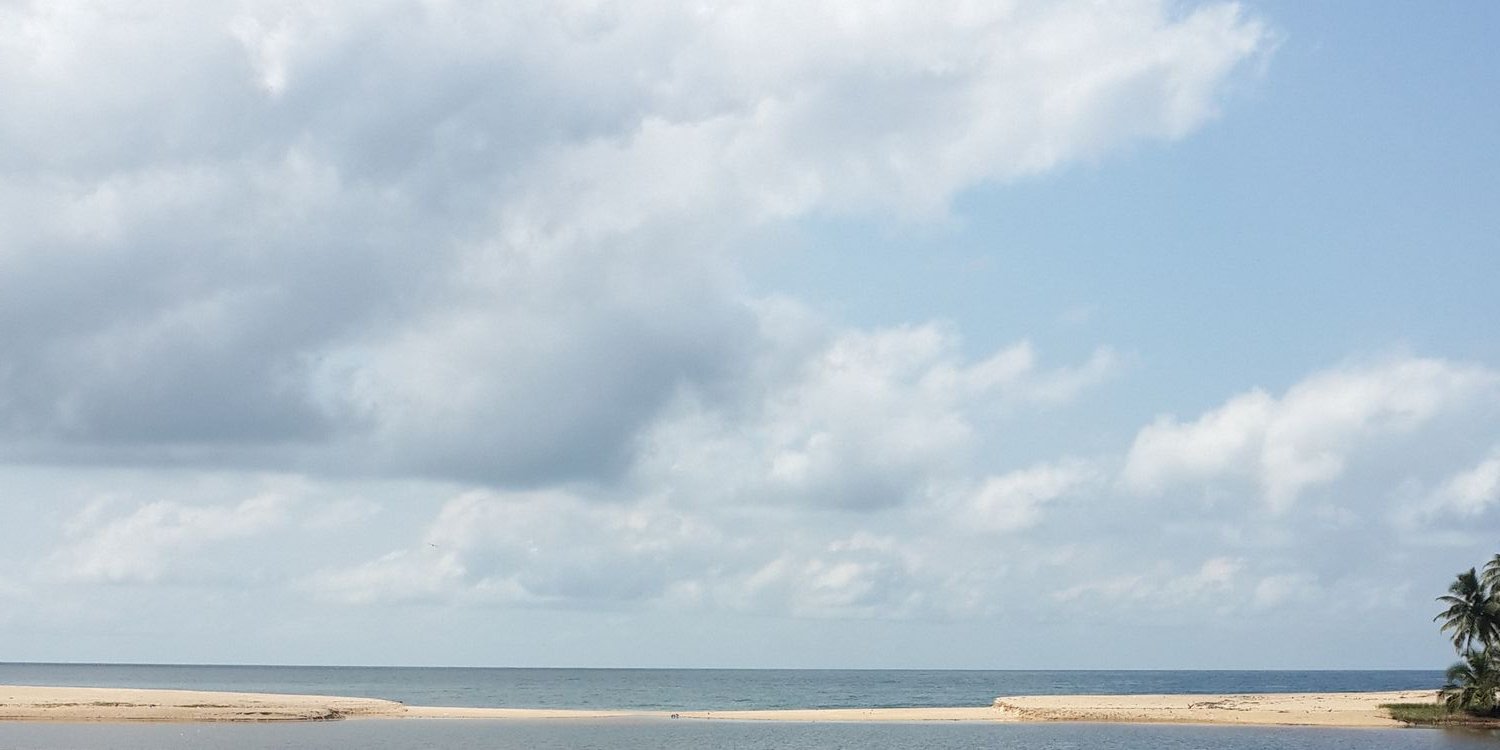 midasstouch's profile banner image