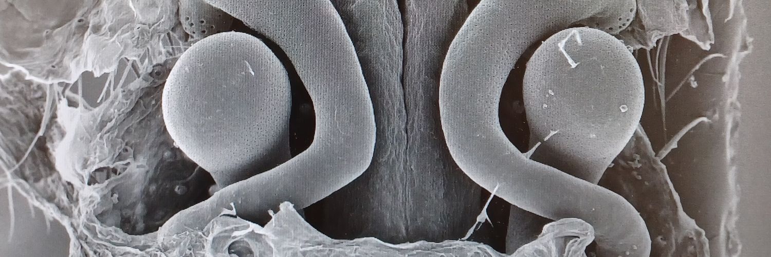 Franklyn Cala-Riquelme. Dr. banner