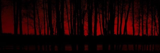jake banner
