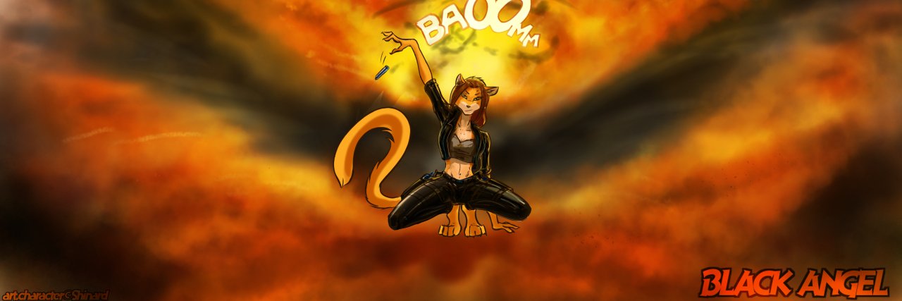 Shiny_Renard's profile banner image