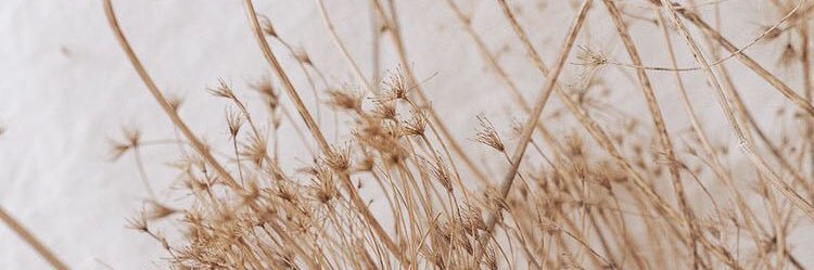 LeaAlbeza's profile banner image