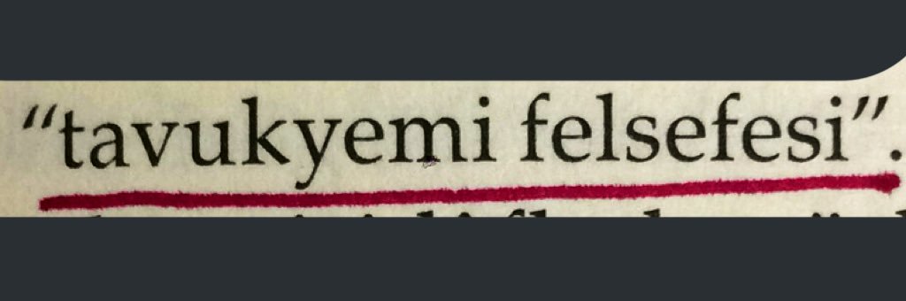 akinkaraca banner