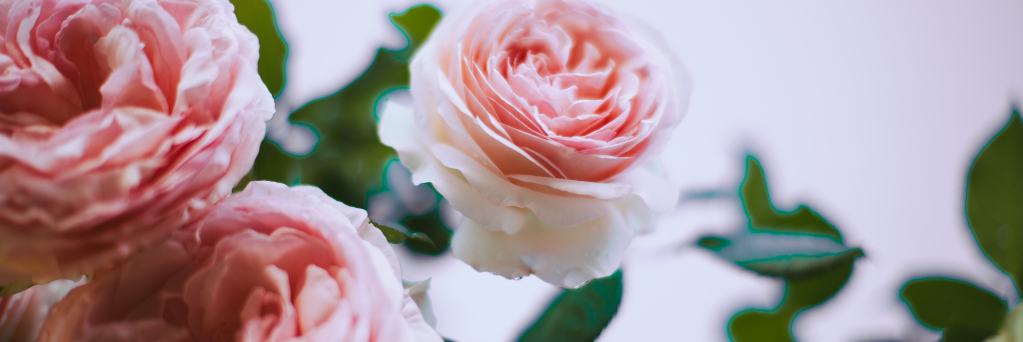 jorain_'s profile banner image