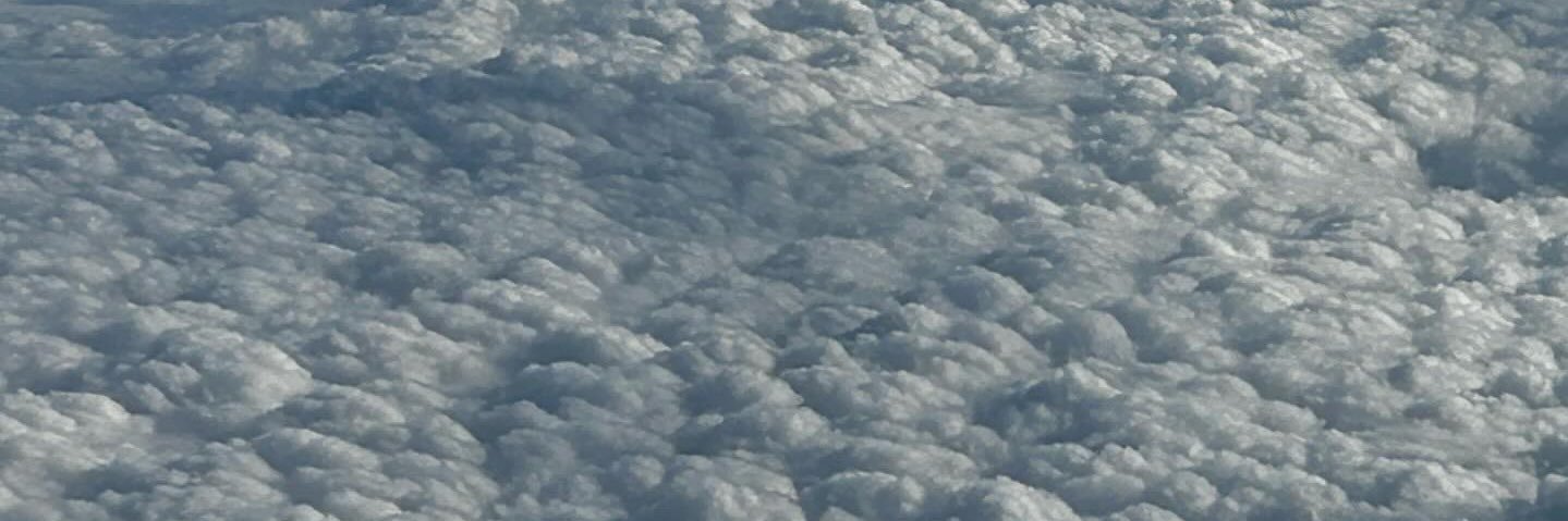 Alexandria Burris banner