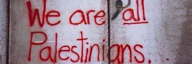 🇵🇸 We are all Palestinian banner