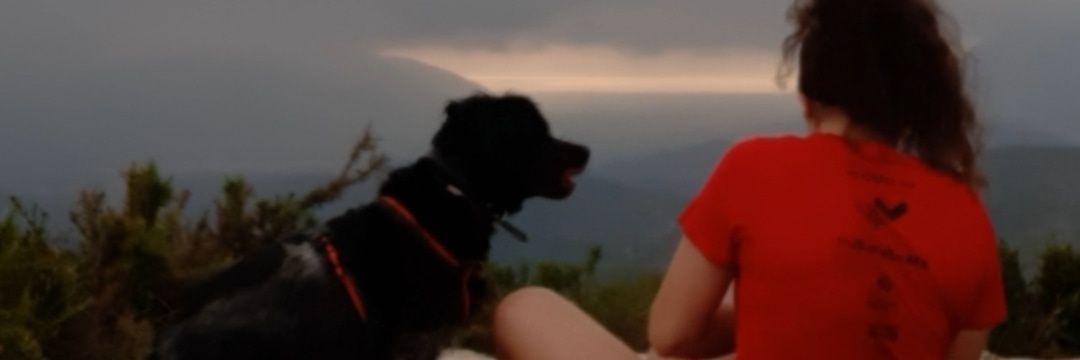 FerrandoGiner's profile banner image