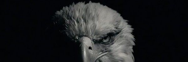 four_FO30 Profile Banner