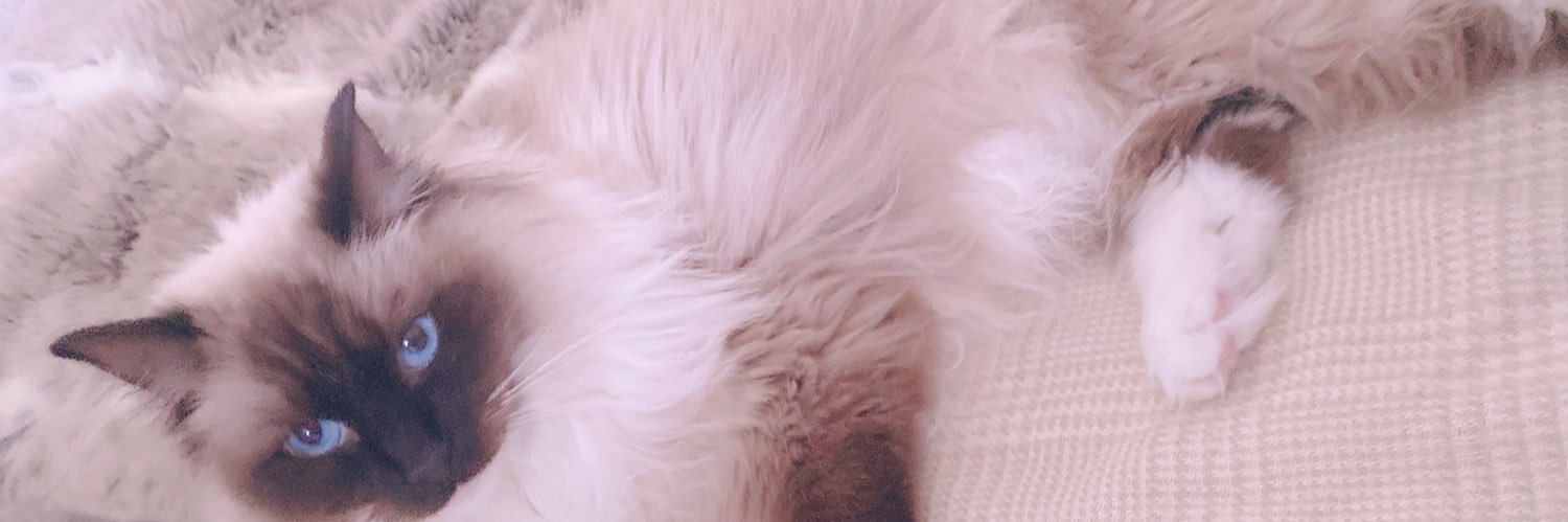 ぴょん banner