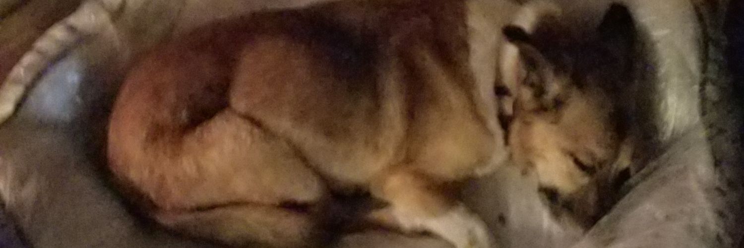 ynot316m's profile banner image